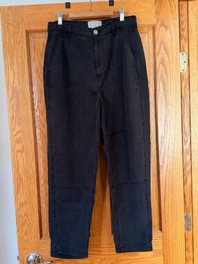 Everlane Black Chino Cotton Pants